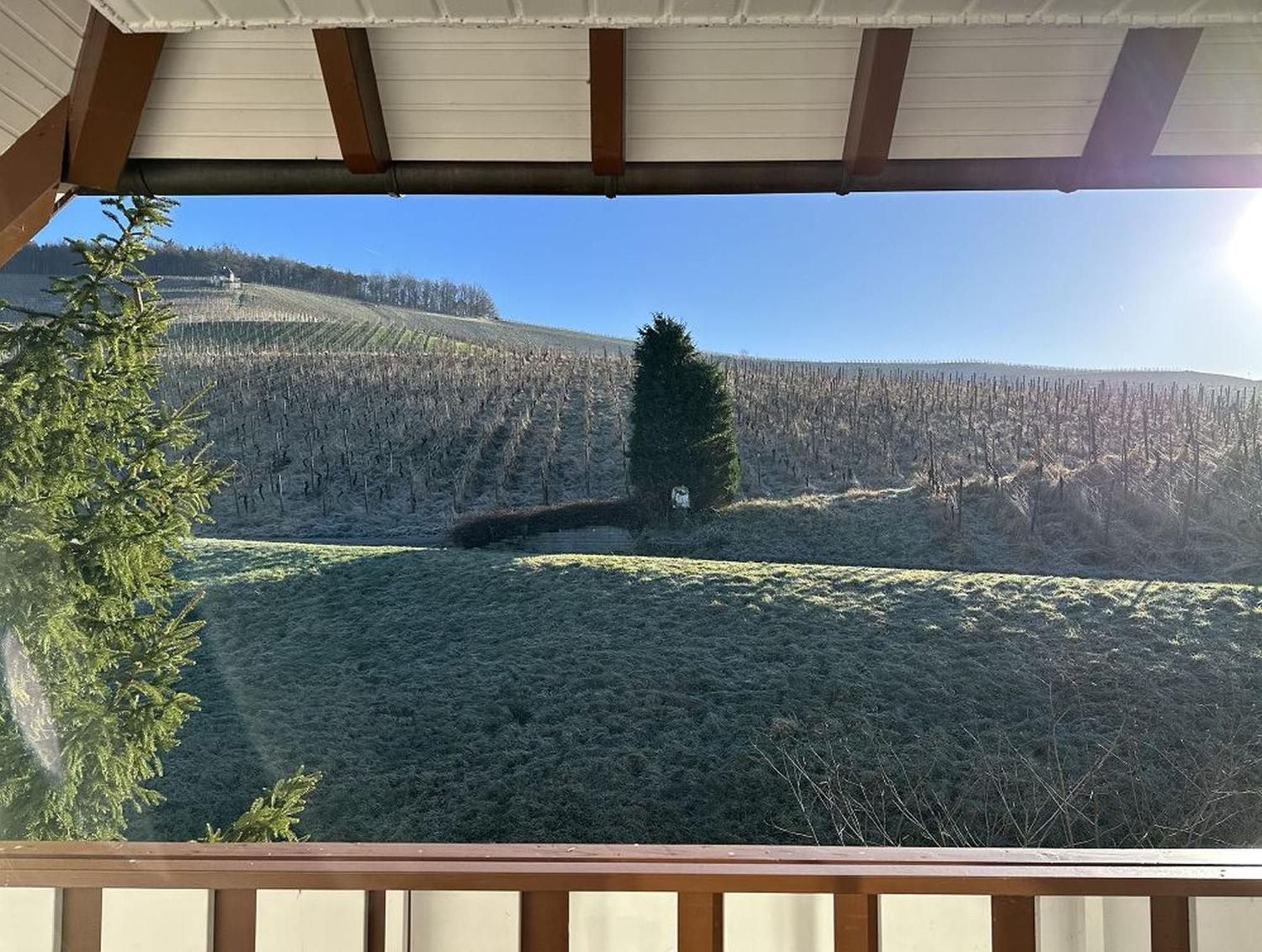 فندق ومطعم Weinberg بادن بادن المظهر الخارجي الصورة